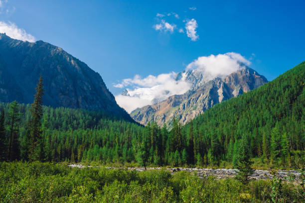 istock Stream along forest edge. Rocky ridge with snow behind hills with conifer forest. Clouds on top of huge snowy mountain range under blue sky. Giant rock. Atmospheric landscape of highland nature. 1130479729