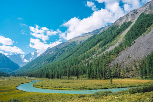 istock Serpentine river in valley before beautiful glacier. Snowy rocks behind mountains with conifer forest. Huge clouds on giant snowy mountain top under blue sky. Atmospheric landscape of highland nature. 1130479731