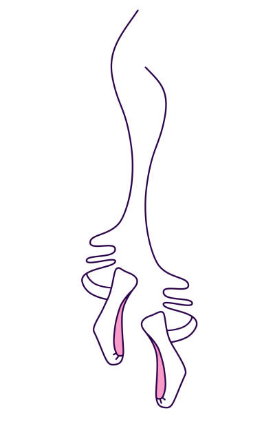 ilustrações, clipart, desenhos animados e ícones de logotipo de vetor linear para um estúdio de balé. ilustração de pernas femininas em sapatos de balé em fitas. - ballet people dancing human foot