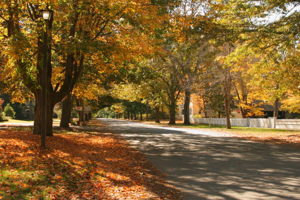istock The Street in Old Deerfield, Massachusetts 1130481064