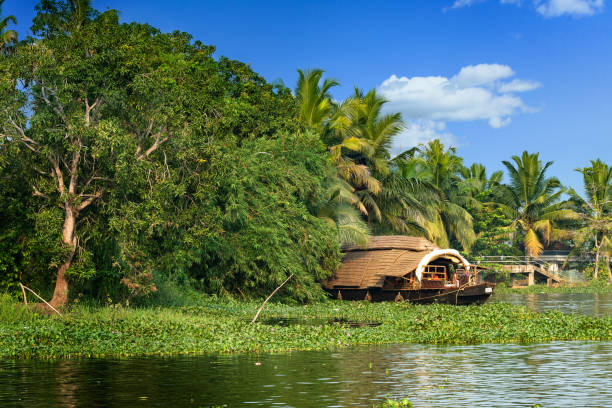 istock Houseboat in Kerala 1130481776