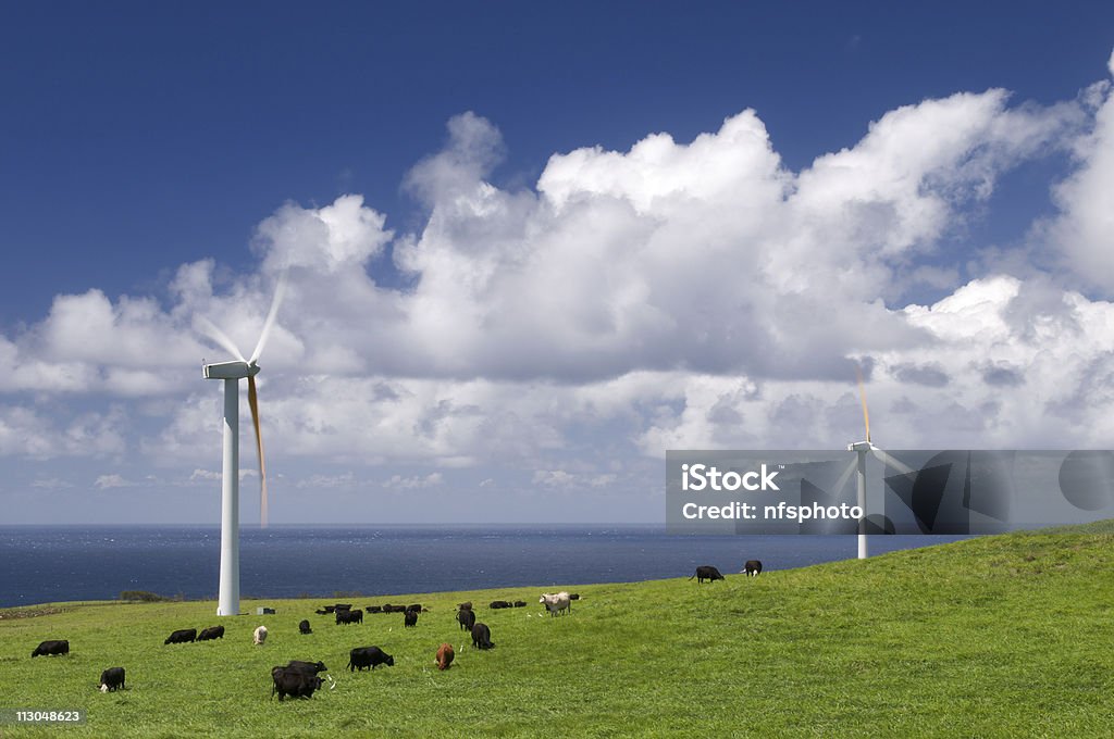 Kühe Grasen von Windturbinen - Lizenzfrei Drehen Stock-Foto