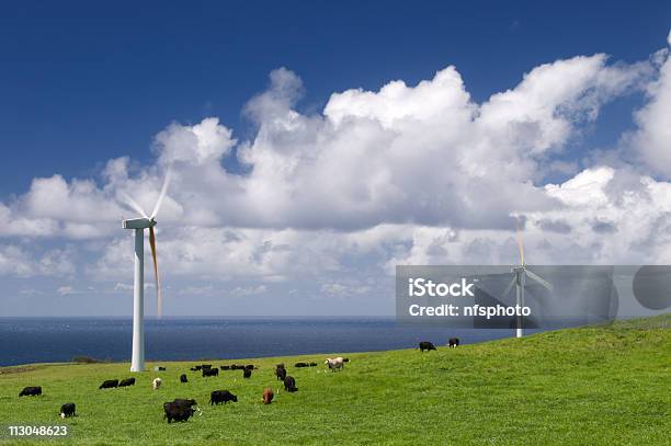 牛掛けの風力タービン - 回転するのストックフォトや画像を多数ご用意 - 回転する, 草を食む, くるくる回る