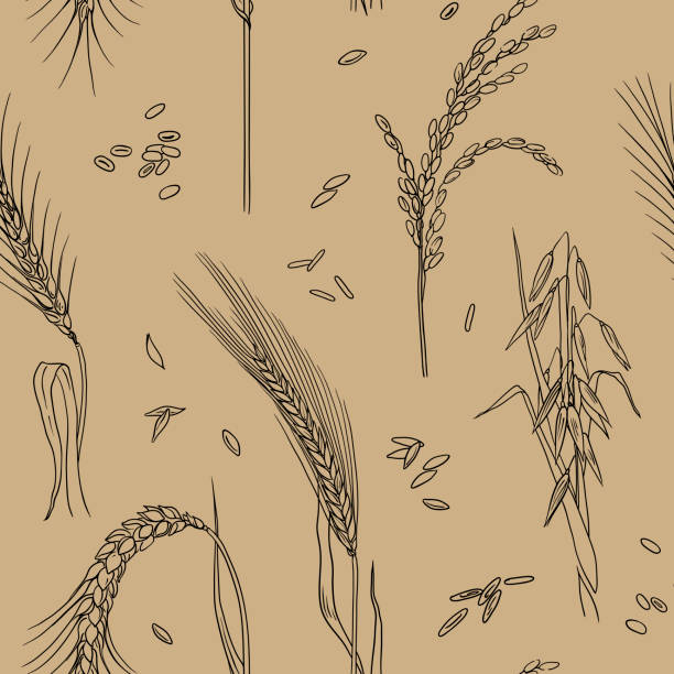 травяной бесшовный узор. фон вектора, нарисованный вручную - autumn backgrounds biology botany stock illustrations