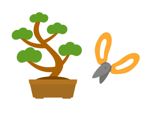 Bonsai and scissors This is a bonsai and scissors. branch trimmers stock illustrations