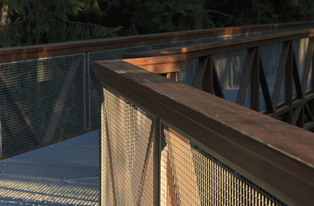 istock Walking trail above treetops at forest. 1130492342