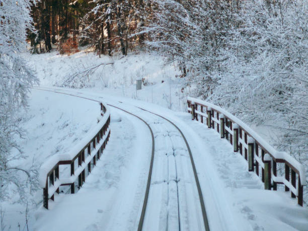 istock Wooden bridge with rails in a winter forest under thick snow 1130492356