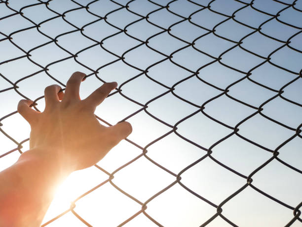 istock The hand is catching the cage 1130492641