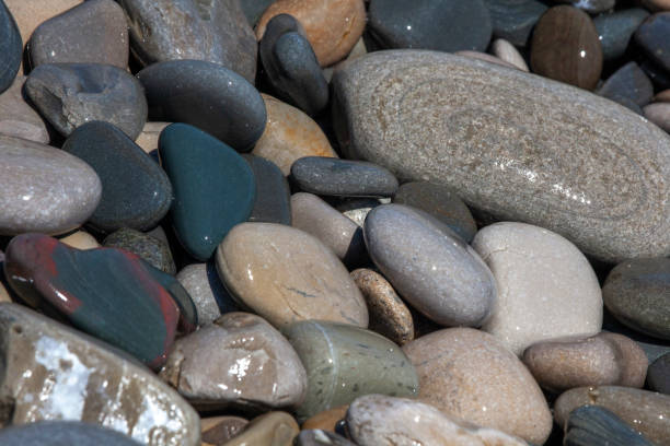 istock carry design and gravel 1130495721