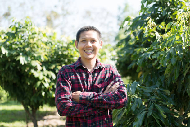 istock Asian farmer in longan field 1130497940