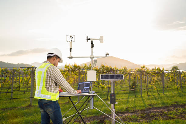 農学者タブレットコンピュータを用いた気象観測機器によるデータ収集によるブドウ畑の風速・温湿度・太陽電池システムの測定スマートファームコンセプト - instrument of measurement ストックフォトと画像