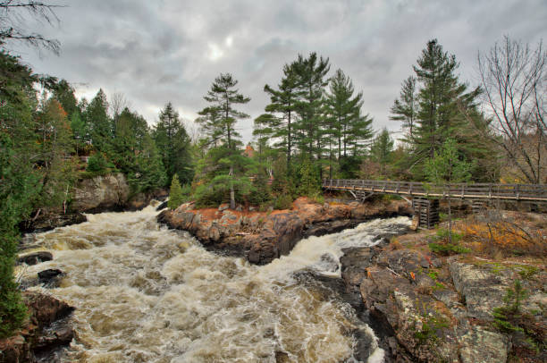 istock The River of the wolf 1130500514