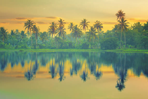 Waterscape in India