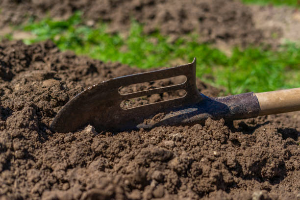 istock shovel in the ground 1130503306