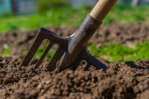 istock shovel in the ground 1130504473