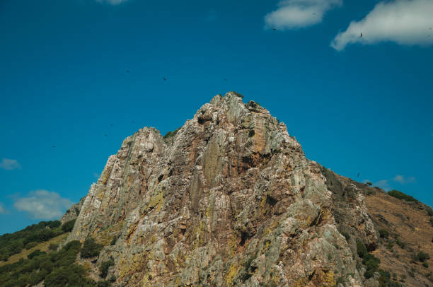 istock Cliffs covered by trees at the Monfrague National Park 1130504513