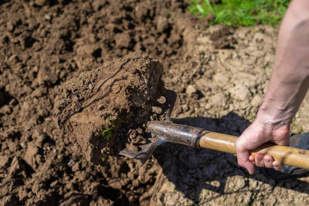 istock shovel in the ground 1130505041