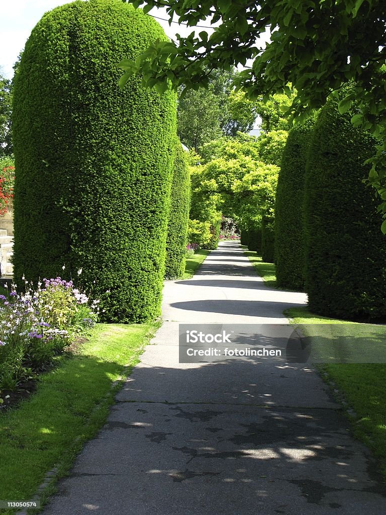 Parkway in Stuttgart - Lizenzfrei Blume Stock-Foto