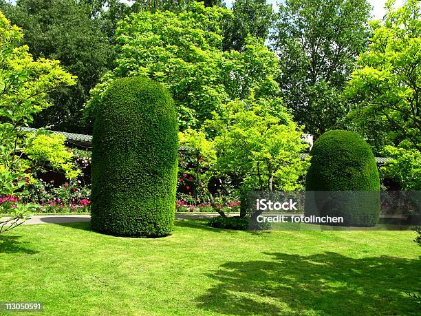 Parkway In Stuttgart Stockfoto und mehr Bilder von Baum - Baum, Beschnittene Hecke, Blume