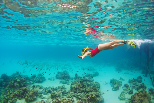 Mujer joven en snorkel buceo máscara submarina con peces tropicales photo