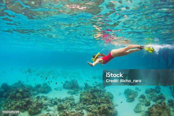 Young Woman In Snorkeling Mask Dive Underwater With Tropical Fishes Stock Photo - Download Image Now