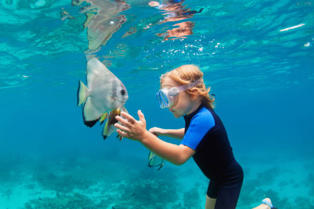 Little boy in snorkeling mask dive underwater with tropical fishes Happy family - active kid in snorkeling mask dive underwater, see tropical fish Platax ( Batfish ) in coral reef sea pool. Travel adventure, swimming activity on summer beach vacation with child. batfish platax stock pictures, royalty-free photos & images