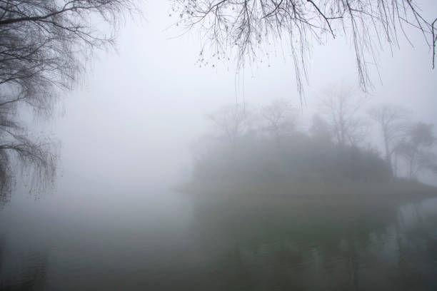 istock Beautiful tree in fog and winter, sapa, vietnam 1130511908