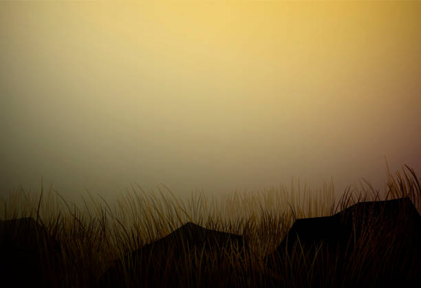 сухая полевая трава с камнями, прерии засухи пейзаж, саванна сухой жаркий вечерний пейзаж, вектор - prairie sky grass large stock illustrations