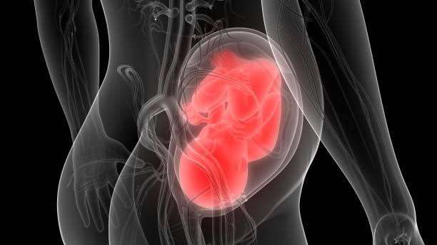 Прозрачные выделения при беременности в 1, 2, 3 триместре Прозрачные выделения при беременности в 1, 2, 3 триместре