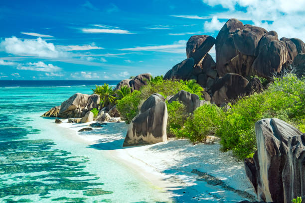ilha paradisíaca em seychelles - seychelles sea lagoon tropical climate - fotografias e filmes do acervo