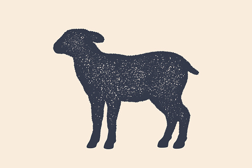 Lamb, sheep. Concept design of farm animals - Lamb or Sheep side view profile. Isolated black silhouette lamb or sheep on white background. Vintage retro print, poster, icon. Vector Illustration