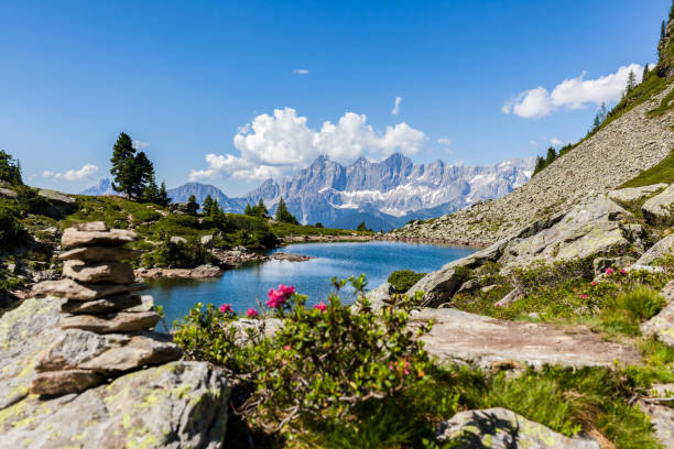 Lake Spiegelsee Mittersee and mountain range Dachstein in Styria, Austria Lake Spiegelsee Mittersee on Reiteralm and distant mountain range Dachstein in Styria, Austria dachstein mountains photos stock pictures, royalty-free photos & images