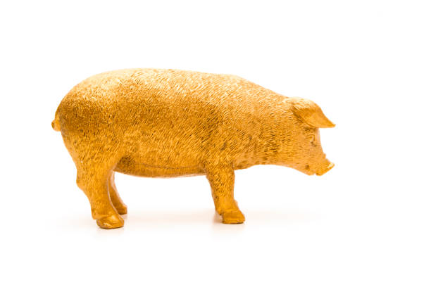 istock Model of a Golden Pig 1130520923