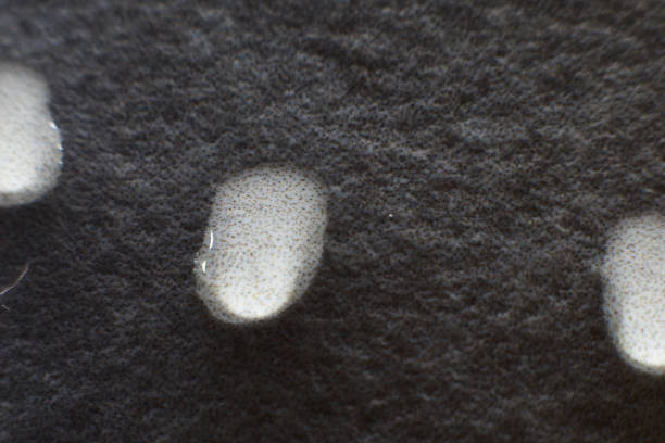 istock drop close up. water drop on concrete wall 1130522866