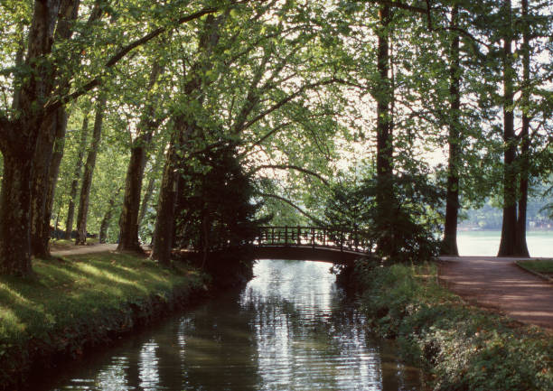 istock River and wooden bridge in a public park, Lyon 1130523212