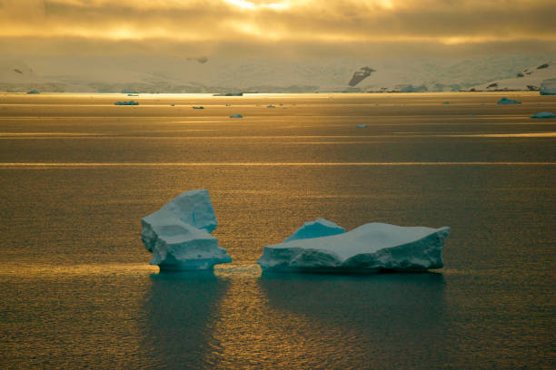 iceberg sul bellissimo mare al tramonto - uncultivated snow ice antarctica foto e immagini stock