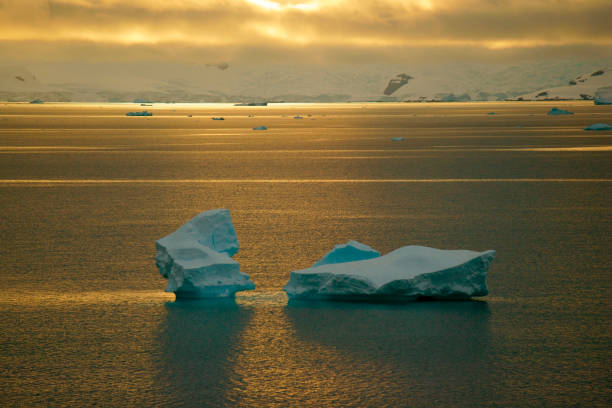 夕日の美しい海の氷山 - uncultivated snow ice antarctica ストックフォトと画像