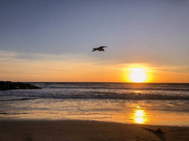 istock Watching the sunset over the pacific ocean in Venice, CA in wintertime 1130524963