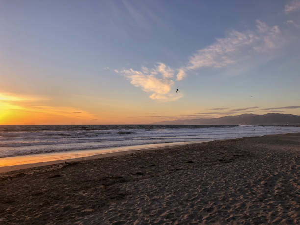 istock Watching the sunset over the pacific ocean in Venice, CA in wintertime 1130524968