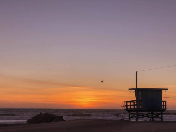 istock Watching the sunset over the pacific ocean in Venice, CA in wintertime 1130525002