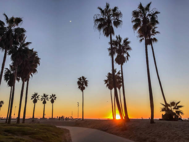 istock Watching the sunset over the pacific ocean in Venice, CA in wintertime 1130525063