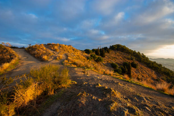 istock Collserola mountains - February 1130526041