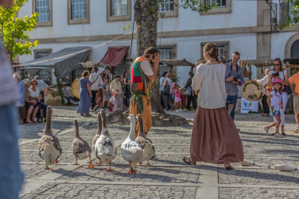 exibição do espetáculo com teatro de rua, medieval, justo, atores vestidas em trajes típicos, gansos e público assistindo a andar - medieval market - fotografias e filmes do acervo