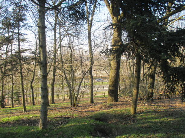 istock Sunny winter day in a hilly public park 1130527982