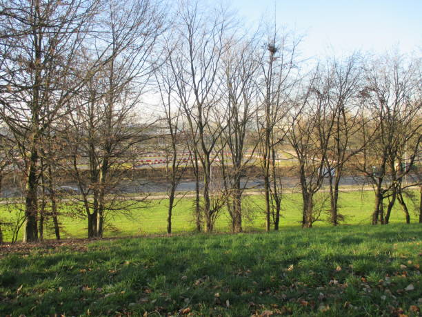 istock Sunny winter day in a hilly public park 1130528191