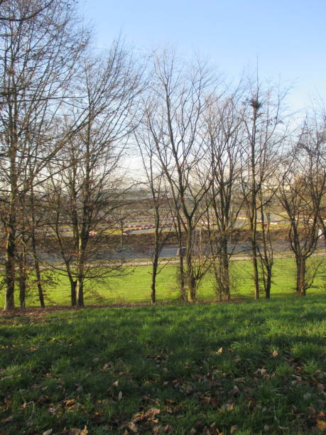 istock Sunny winter day in a hilly public park 1130528201