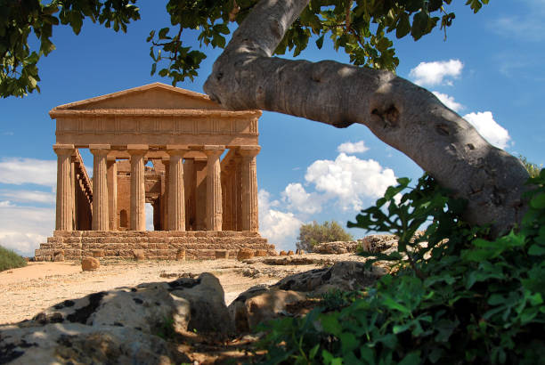 der tempel von concordia im tal der tempel in agrigento, sizilien (italien). olivenbaum im vordergrund. - frontgiebel stock-fotos und bilder