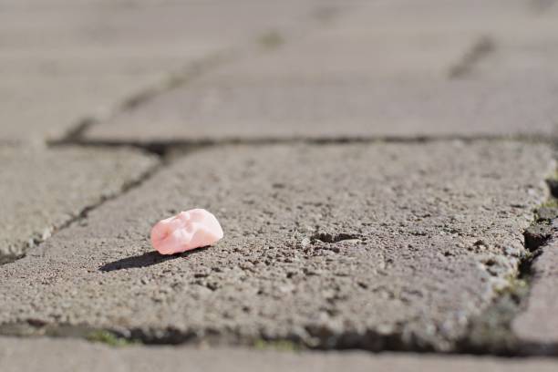 Pink used chewing gum close up , spit out on the pavement, pollution