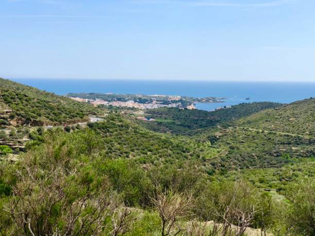 istock Sunny green valley with sea view 1130531221