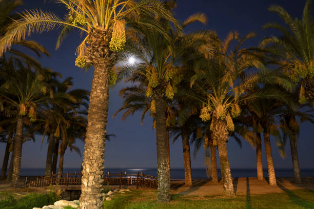 Playa la Macarena in Costa del Sol. Image taken from Paseo Marítimo and Avenida Benyamina.